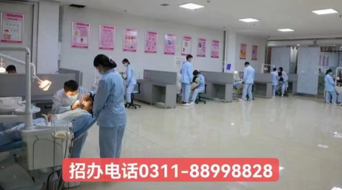 石家莊天使護士學(xué)校2026年春季口腔專業(yè)學(xué)費