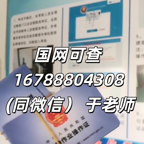  藁城低壓電工證報名入口（2026年）