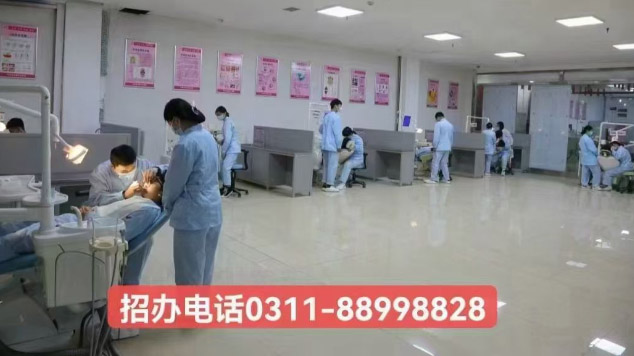 石家莊天使護(hù)士學(xué)校2026年秋季招生專業(yè)介紹（官方發(fā)布）